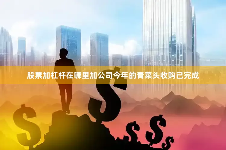股票加杠杆在哪里加公司今年的青菜头收购已完成