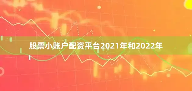 股票小账户配资平台2021年和2022年